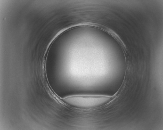X0000079301292200611170819