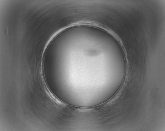 X0000079301296200611170819