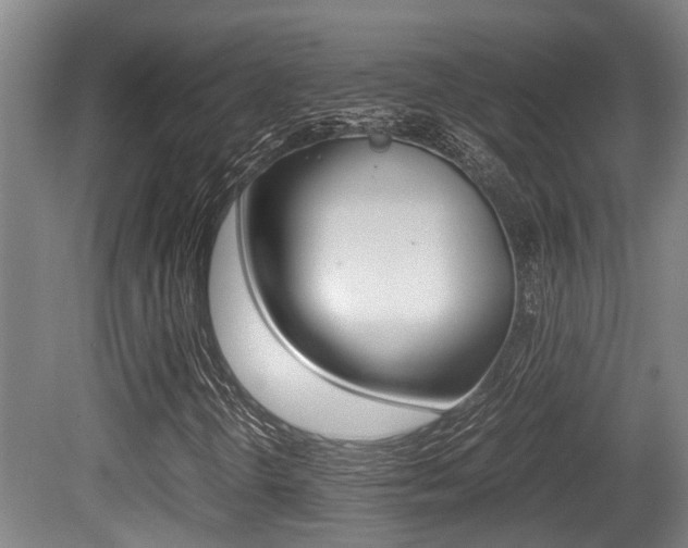 X0000079301298200611170818