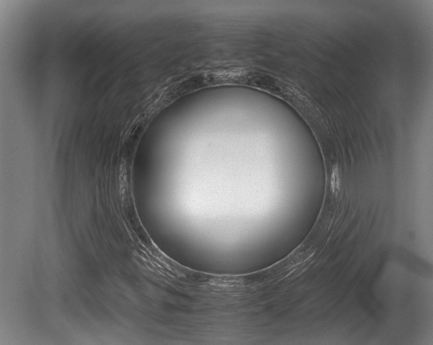 X0000079301299200611170818