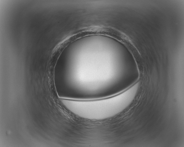 X0000079301304200611170818