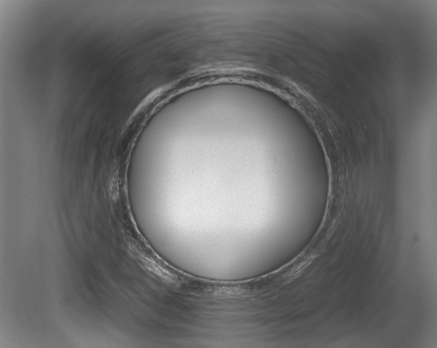 X0000079301306200611170818