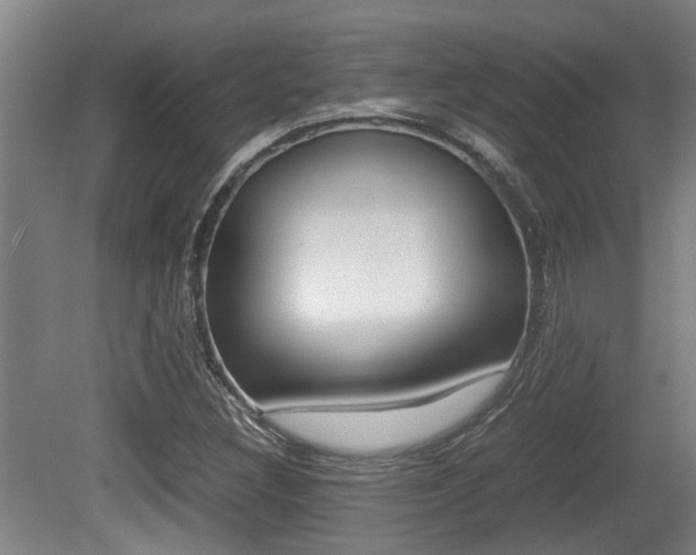 X0000079301308200611170818
