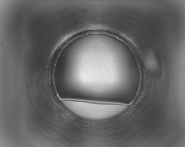 X0000079301311200611170818