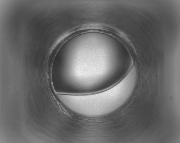 X0000079301312200611170818