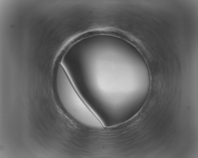X0000079301319200611170819