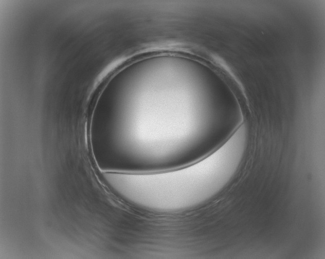 X0000079301320200611170819