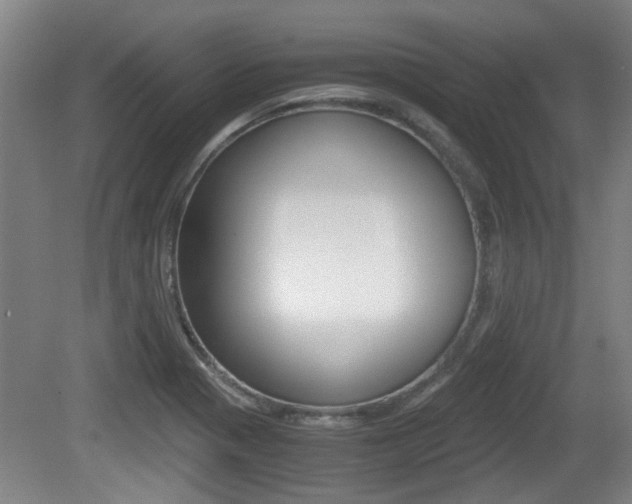 X0000079301321200611170819