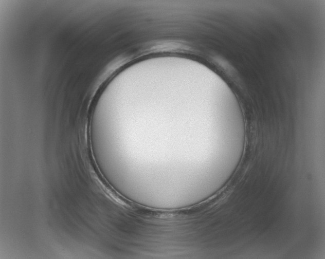 X0000079301322200611170819