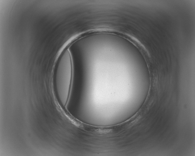 X0000079301325200611170819