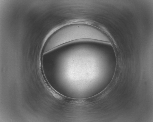 X0000079301328200611170819