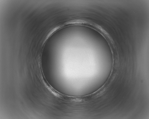 X0000079301329200611170819