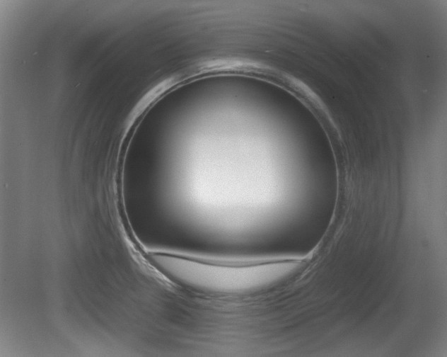 X0000079301330200611170819