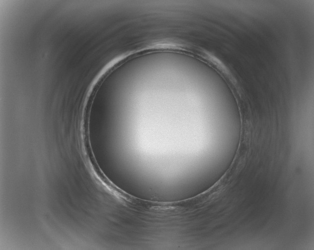 X0000079301331200611170819