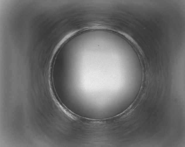 X0000079301333200611170819