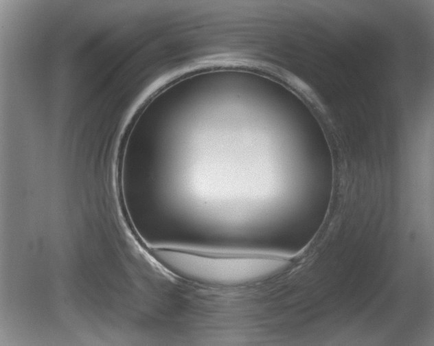 X0000079301334200611170819