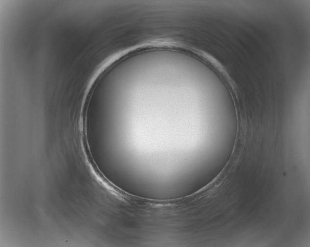 X0000079301335200611170819