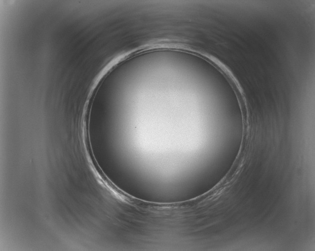 X0000079301341200611170819