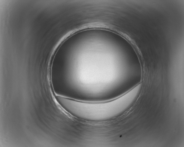 X0000079301342200611170819