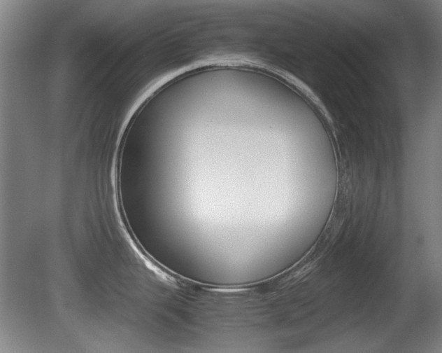 X0000079301343200611170819