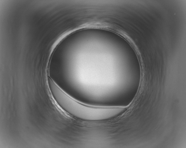 X0000079301344200611170819