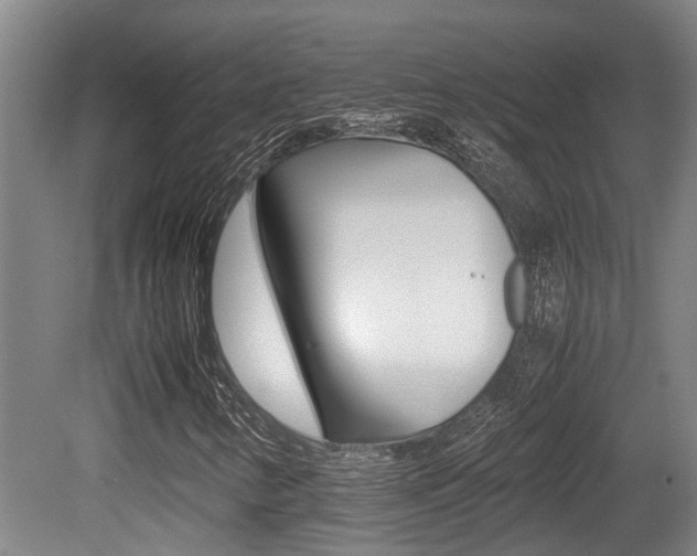 X0000079301346200611170818