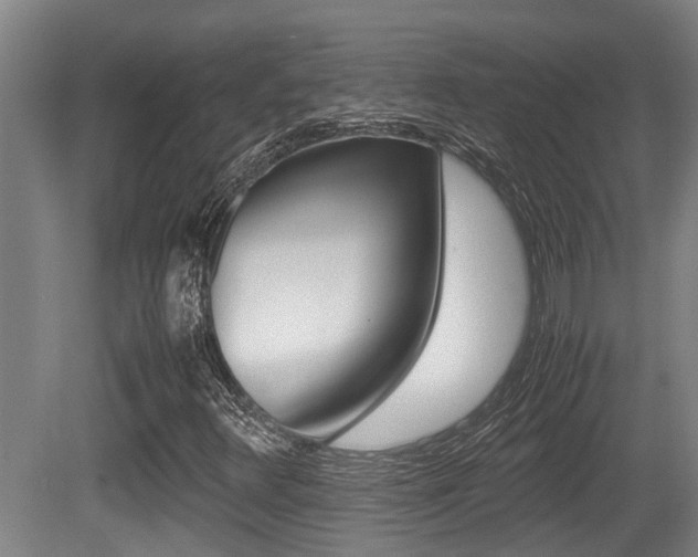 X0000079301348200611170818