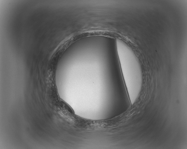 X0000079301351200611170818