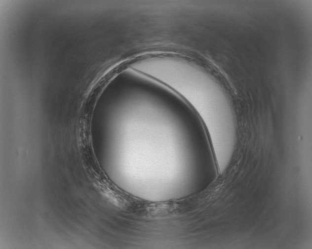 X0000079301352200611170818