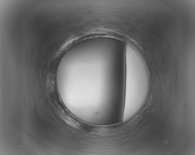X0000079301355200611170818