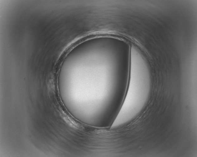X0000079301356200611170818