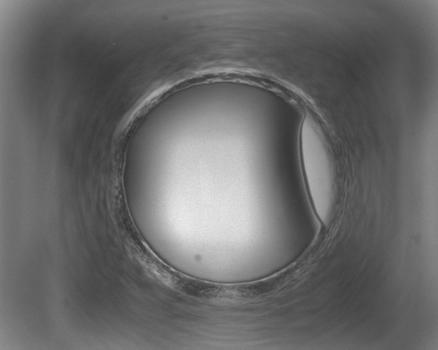 X0000079301359200611170818