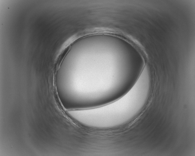 X0000079301365200611170818