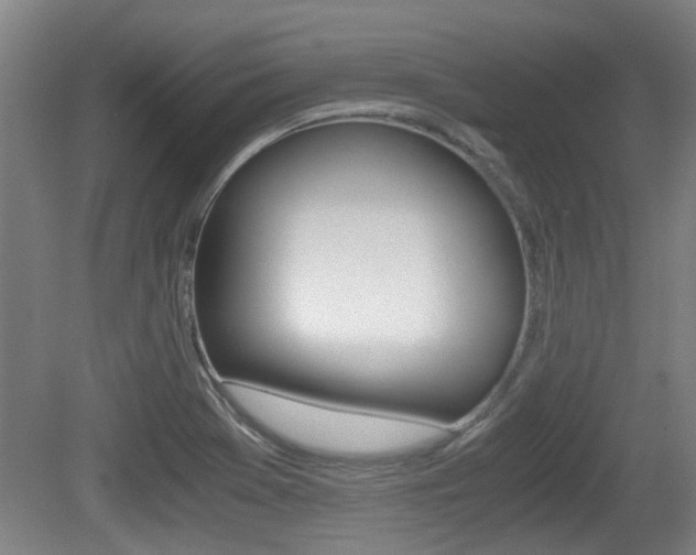 X0000079301369200611170818
