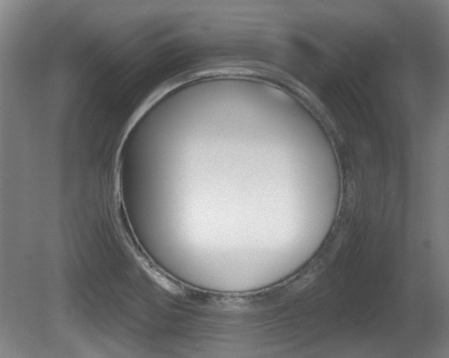 X0000079301370200611170818