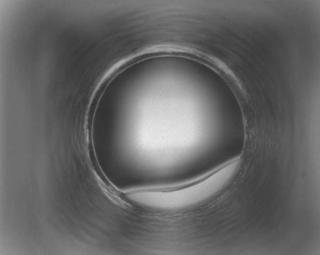 X0000079301372200611170818