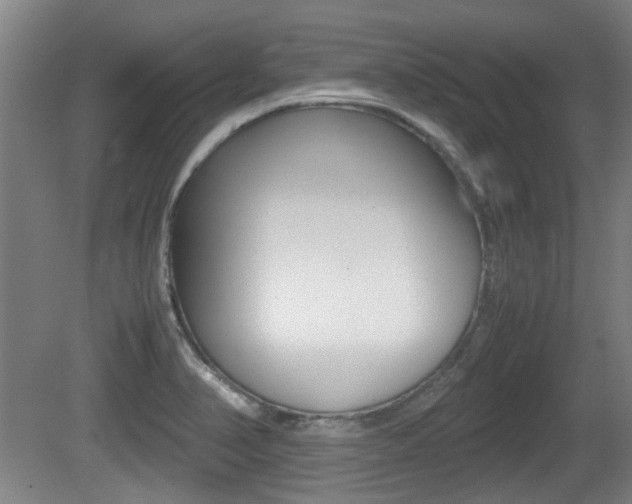 X0000079301374200611170818
