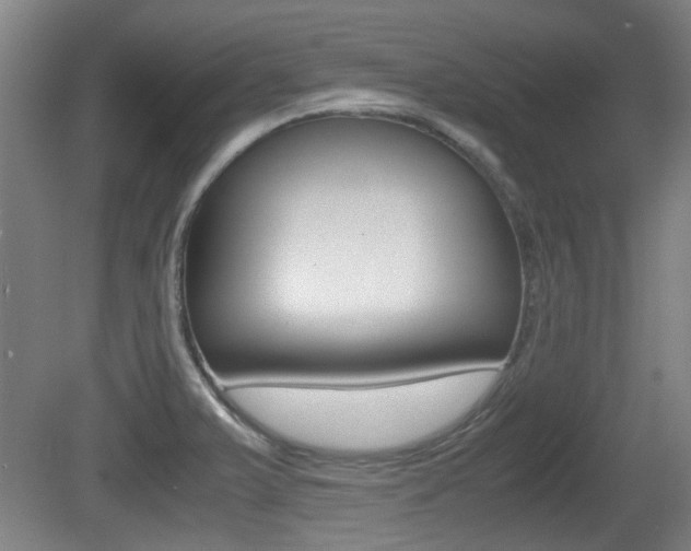 X0000079301375200611170818