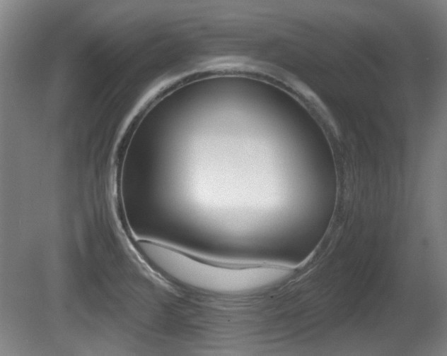 X0000079301376200611170818