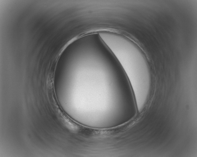 X0000079301377200611170818