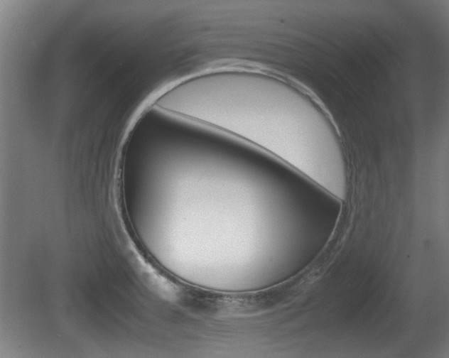 X0000079301379200611170818