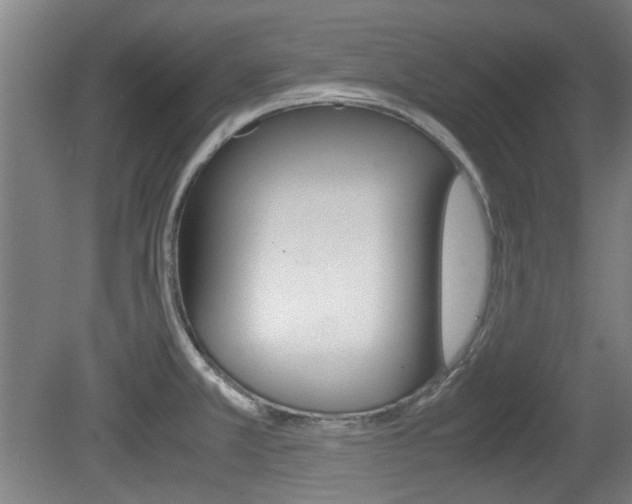 X0000079301381200611170818