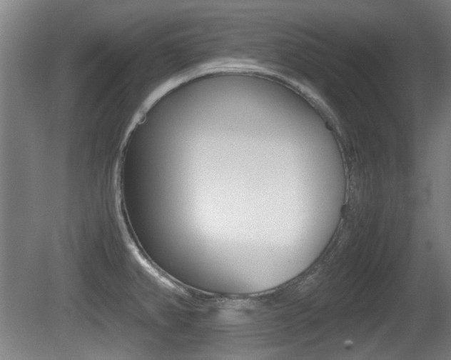 X0000079301382200611170818