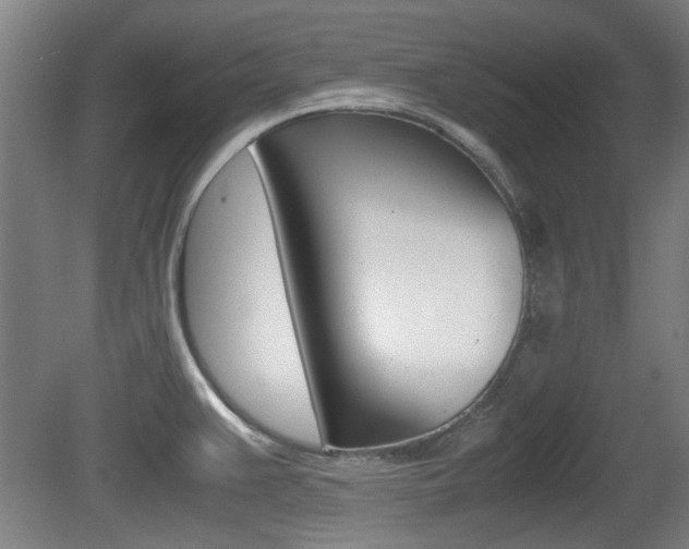 X0000079301383200611170818