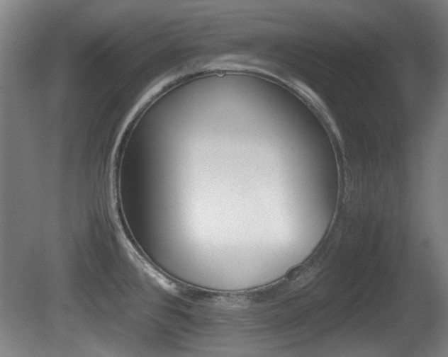 X0000079301384200611170818