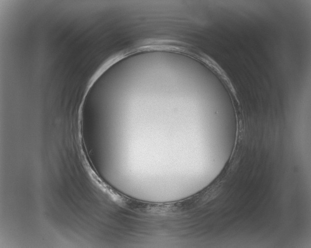 X0000079301386200611170818