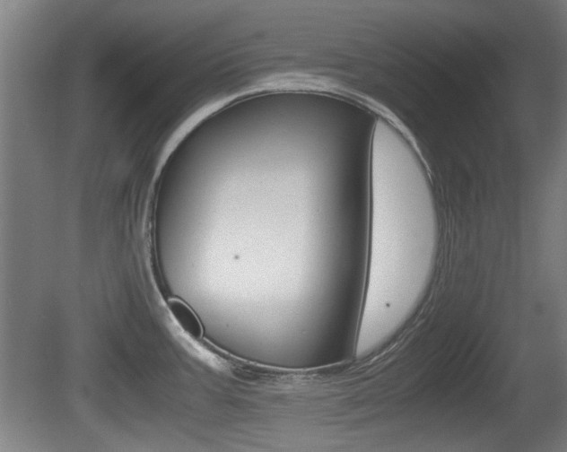 X0000079301387200611170817