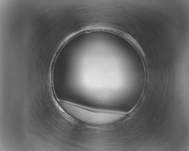 X0000079301388200611170817
