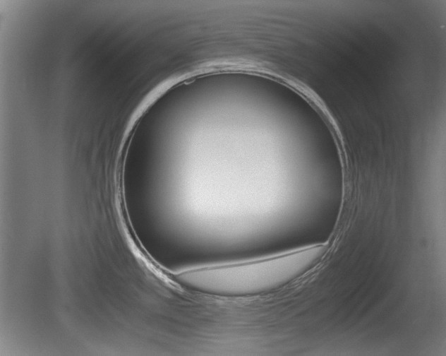 X0000079301389200611170817