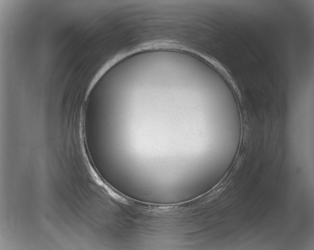 X0000079301390200611170817